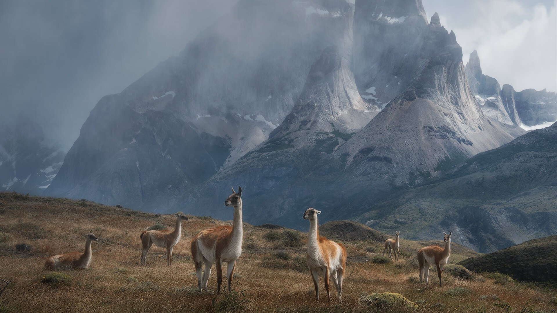雷火电竞入驻-小贾伦狂飙40分创纪录，广厦队加时鏖战突围掘金关键一役