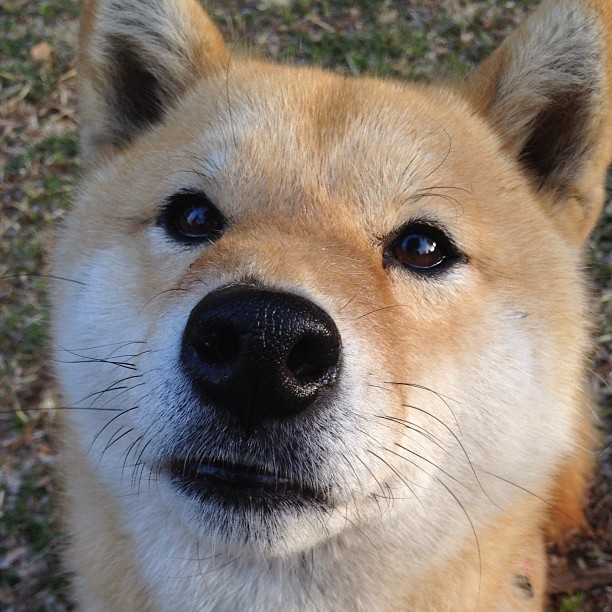 小贾伦狂飙40分创纪录，广厦队加时鏖战突围掘金关键一役